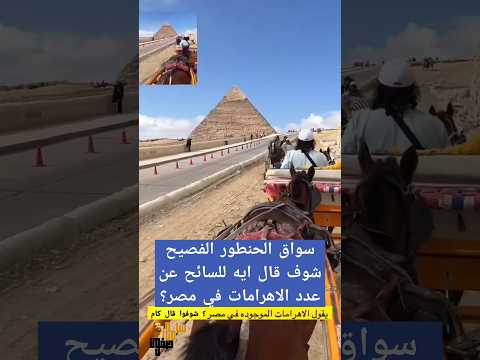 سواق الحنطور الفصيح شوف قال ايه للسائح عن عدد الاهرامات في مصر والمتحف المصري الكبير