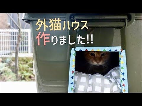 段ボールハウスを何度も作り直すのが大変なので、雨や寒さに負けない外猫ハウスを作ってみました！