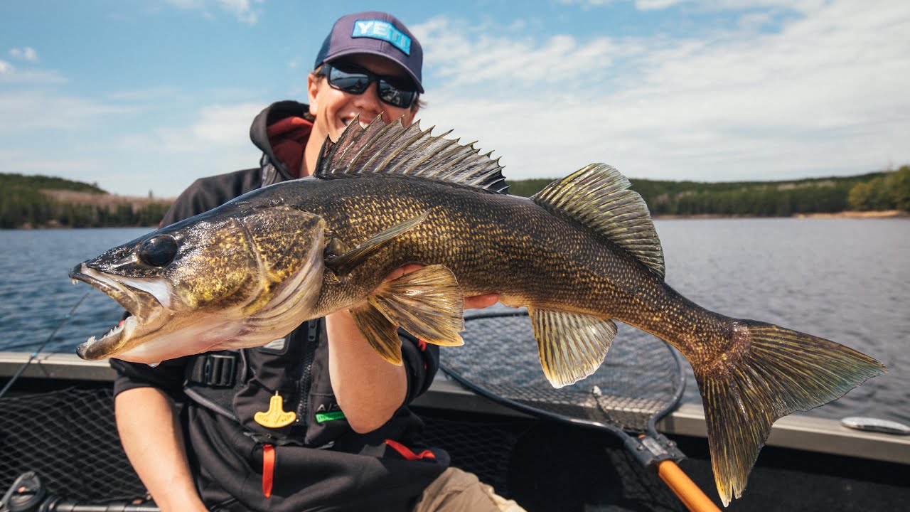 Targeting Big Walleye with Swimbaits - Jay Siemens