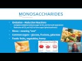 Exploring the Structure and Function of Macromolecules