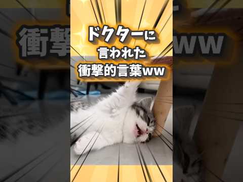 ドクターに言われた衝撃的言葉44