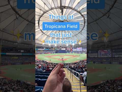Things at Tropicana Field that just make sense #rays #mlb #baseball #ballpark