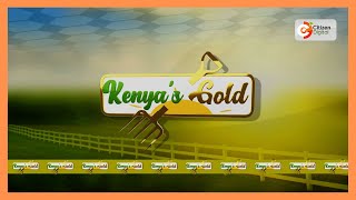 | Kenya's Gold | Gold Chat  | Youth in Agriculture  |