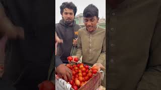 20 کلو ٹماٹر 800 روپے کے