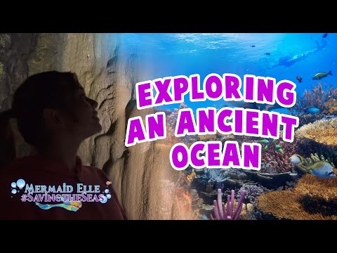 Ep 16: Exploring an Ancient Ocean | Mermaid Elle - Saving the Seas