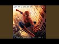 Spider-Man's Abilities and Actions