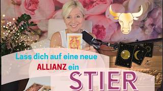 STIER - Eine neue ALLIANZ wartet auf dich 👑💖🌹