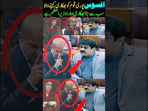 PmlN Leader Vs Shobaz Maryam