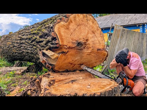 This Sawing Job Makes ZERO Sense. You Won't Believe The Reason