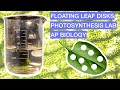 Photosynthesis and Leaf Disk Experiment