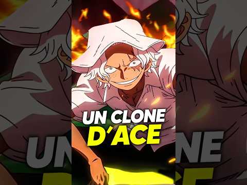 Le RETOUR D’ACE dans ONE PIECE en Séraphin ?! #anime #onepiece #portgasdace #seraphin