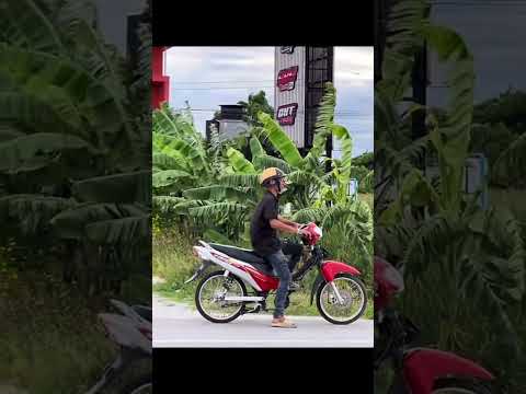 เด็กแว๊นเบิ่ลทำไม