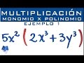 Multiplicación de Expresiones Algebraicas
