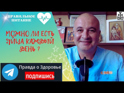 Можно ли есть яйца каждый день?