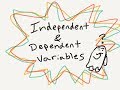 Understanding Variables in Experiments