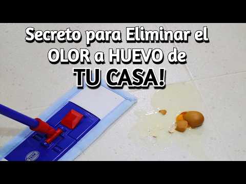 💜 TIPS p/  Eliminar OLOR a HUEVO de tu Casa! | Trucos para Comprar HUEVOS! | Olor a HUEVO no se vá