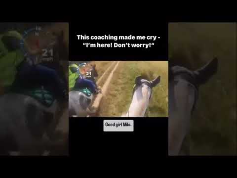 Amazing coaching 🏆 #horses #equestrian #horsebackriding