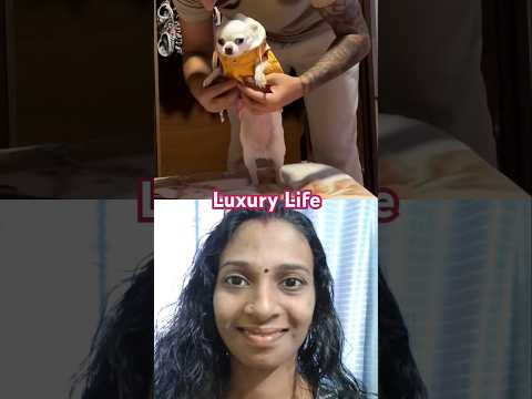 ഈ നായകുട്ടന്റെ ഒരു ഭാഗ്യമേ.. 😆 #dog #pets #doglife #animals #funny #petshub #love #care #shortvideo