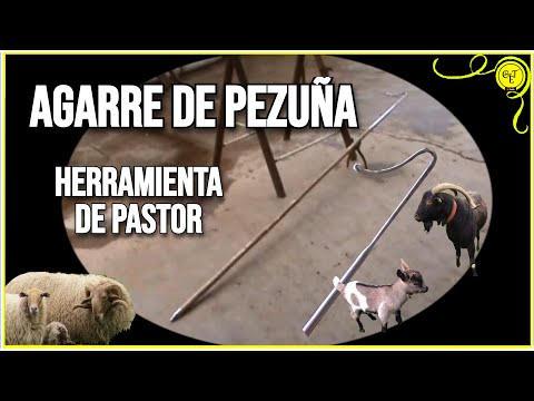 Bastón de pastor con agarre de pezuña y contera metalica