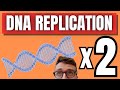 DNA Replication Concepts and Processes