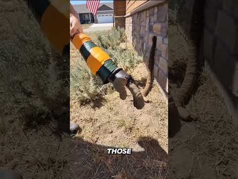 I Heard The Rattle Too Late.