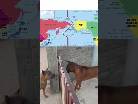USA vs RUSSIA!