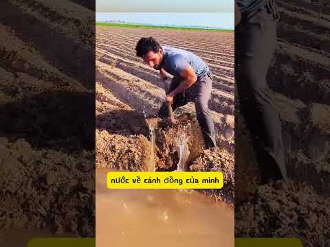 Trộm nước bờ kênh