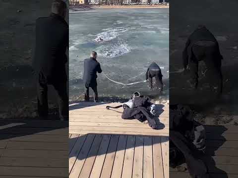 В Вологде парень пытался спасти тонущую собаку, но сам чуть не погиб. Помогли другие мужики.