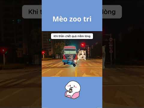 Khi thần chết quá mềm lòng