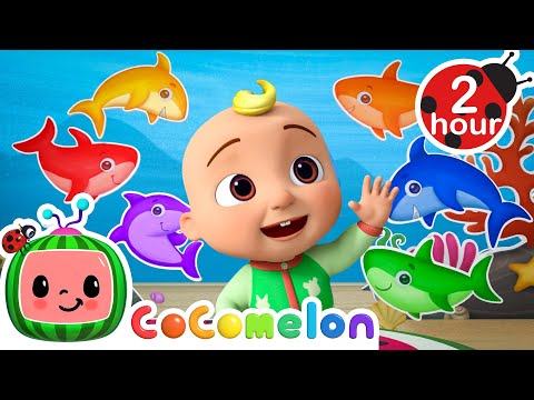 Colorful Sharks Under the Sea with JJ 🌈 | Cocomelon Animal Time - Nursery Rhymes
