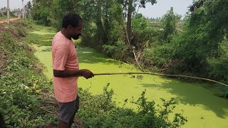 Kkp Fishing vlogs is live 456 AdaviKoli snakehead fishing