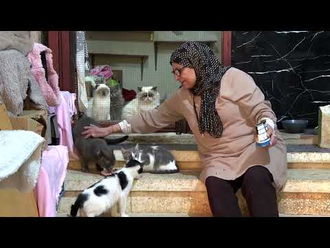 YouTube video thumbnail: 'Live Together or Die Together': Cat Rescuer in Lebanon