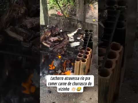 #humor #comedia #shorts