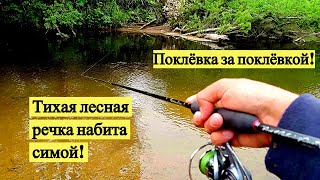 видео