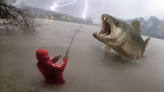 Unbelievable Footage That Was Really Filmed on Camera!