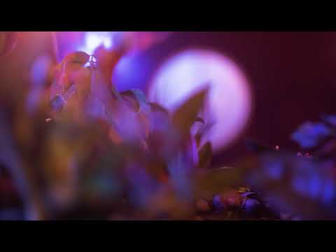 Clair De Lune - ONE HOUR Ethereal Remix