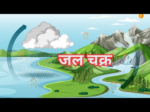 जल चक्र क्या है? | Water Cycle in Hindi | विज्ञान की कक्षा