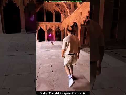 ¡Papá Ten Cuidado Te Puedes Caer Del Puente!