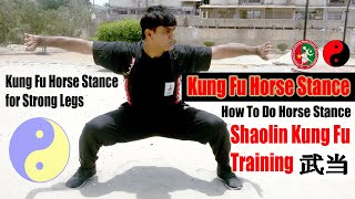 Kung Fu Horse Stance | Shaolin Kung Fu | Martial Arts | Kung Fu Kick 2022 | Wushu Kung Fu Tutorial