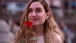 Sweet Caroline- Mariachi Guadalajara Boston