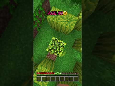 Bases at Avery Age in Minecraft? ?(wait Dubidubidu?) #minecraft #shorts