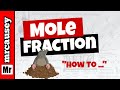 Understanding Mole Fraction Concepts