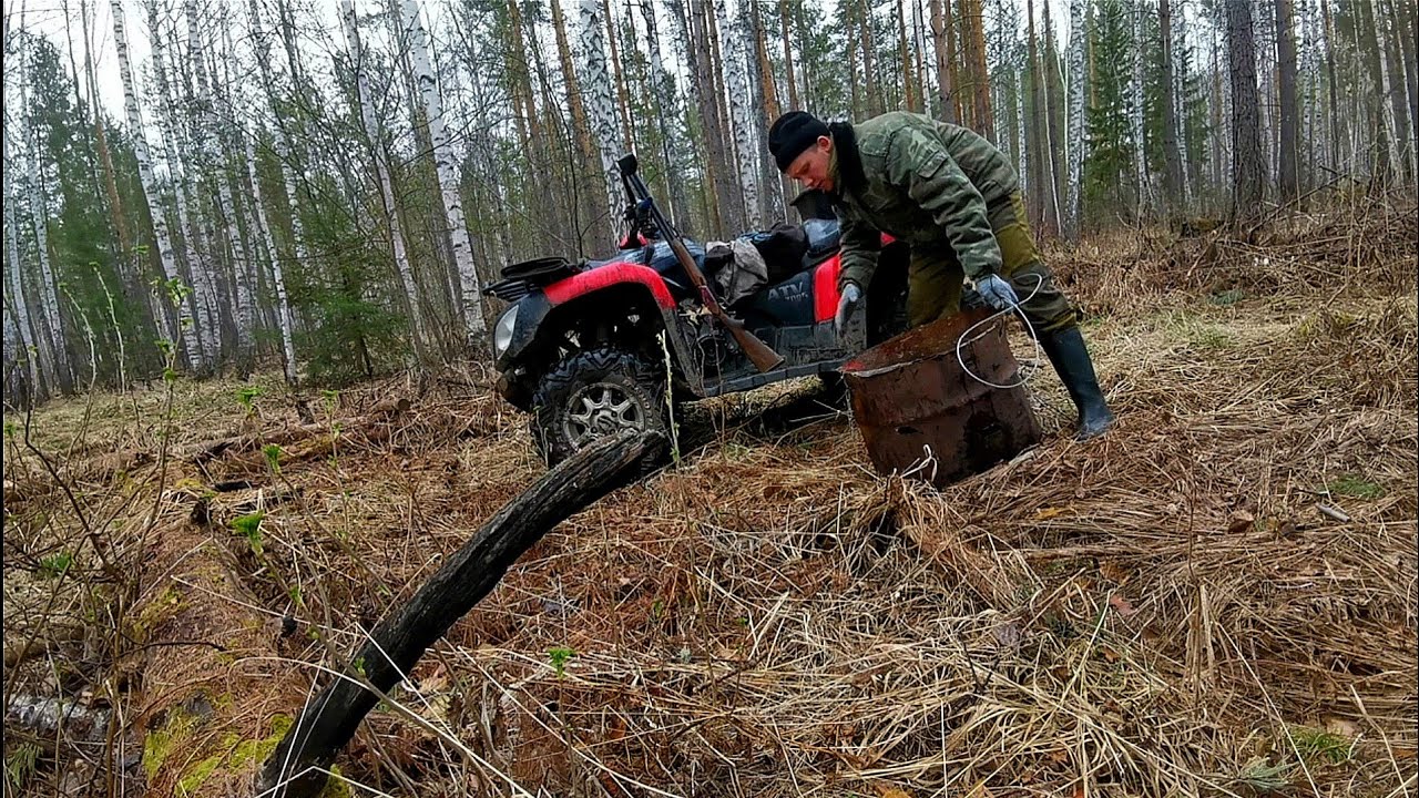 Проверяем приваду. Пришёл медведь.