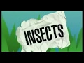 Exploring the World of Insects with Bill Nye