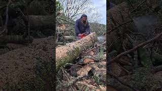 Highlights from our daily vlogs week 25 #countrylife #dailylife  #rugby #vlog