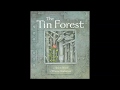 Exploring the Tin Forest Narrative