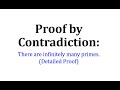Proof by Contradiction and Infinite Primes