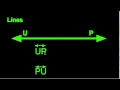 Identifying Lines, Line Segments, Rays, and Points