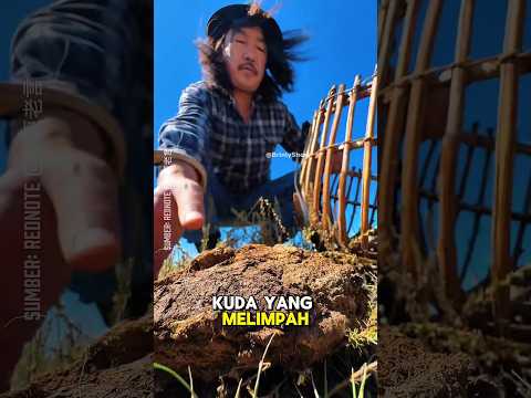 Orang Mongolia Masak dengan Kotoran Hewan!! #shorts #mongoliafood #faktaunik
