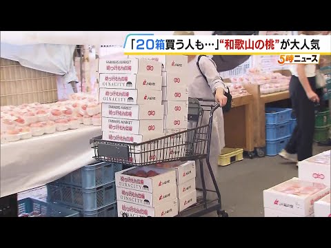 『２０箱買う人も』旬を迎える桃　直売所に長い行列…カートに積みあがる箱　車中泊して臨む夫婦も　和歌山（2025年6月24日）